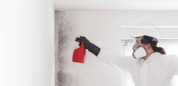 Crawl Space Mold Removal in Orcutt, CA