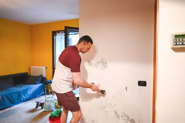 Best Affordable Mold Removal  in Orcutt, CA